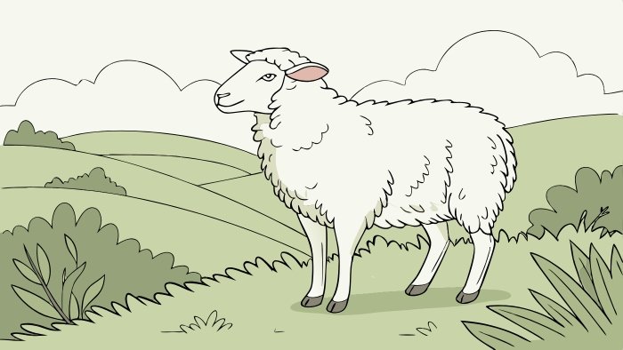 Прислів'я вирази та афоризми в Польській мові - баран як символ виразів про глупість