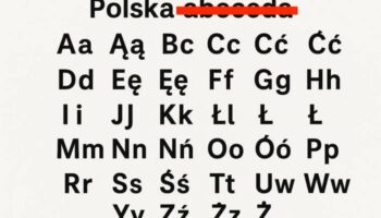 Польська Абетка, польський алфавіт на білому зображенні
