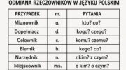 Відмінювання іменників в Польській мові табличка на білому фоні