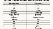обкладенка у вигляді таблиці Excel для базового словника польських слів