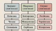 Слов'янські мови: Українська, Польська, Чеська та Російська та інші по групах