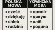 Польська та українська мови схожості та відмінності